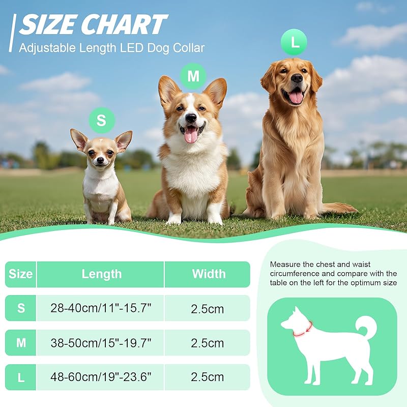 LEUCHTIE Plus LED-Leuchthalsband