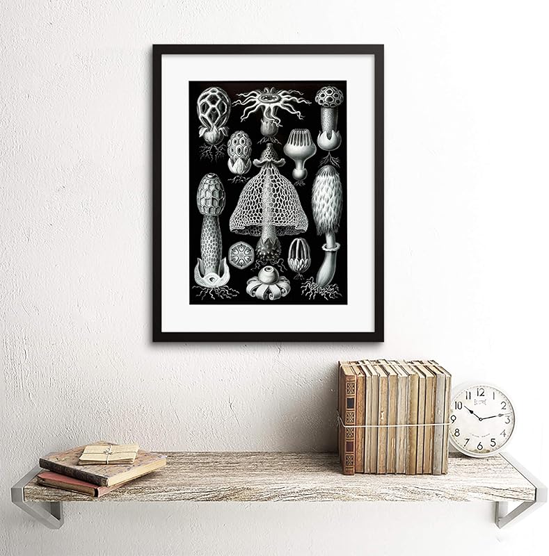 GLORITY GLOBAL Picture Mushroom