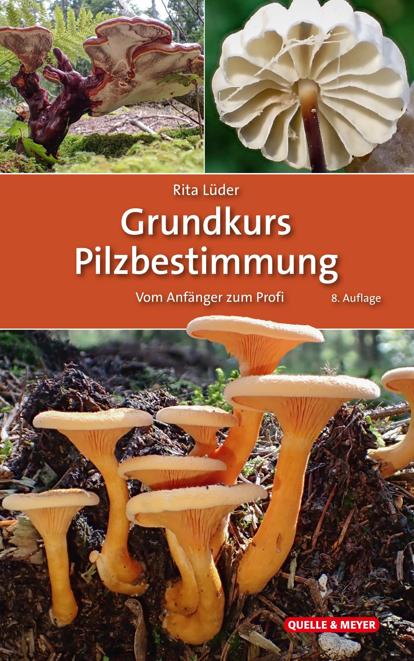 MUSHROOM APPS Shroomify – Pilzbestimmung