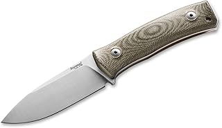 LionSteel M390 Fixed Blade (Premium)